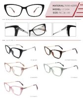 Plastic TR90 and acetate frame with spring hinges LE1094-DA