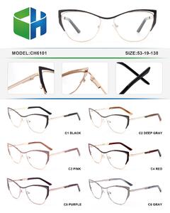 Metal frame with spring hinges CH6101-DA