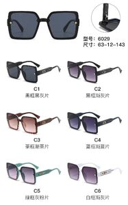 PC plastic sunglasses with metal hinge 6029W