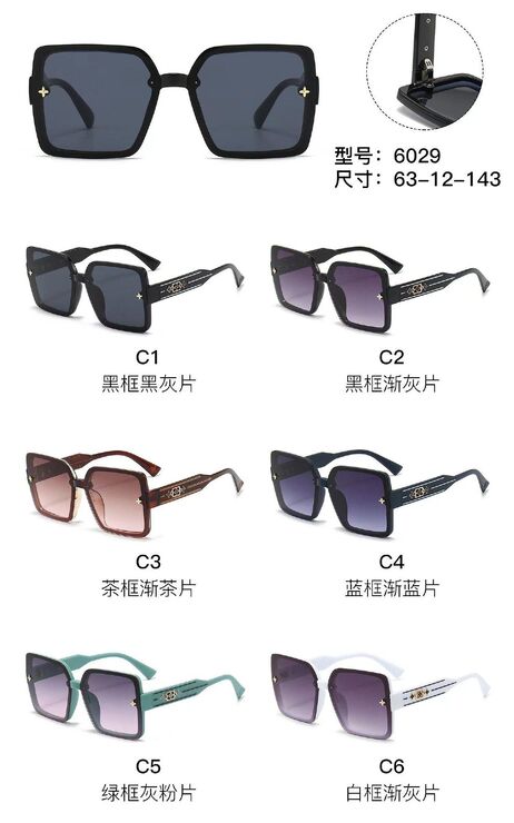 PC plastic sunglasses with metal hinge 6029W