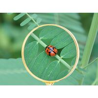 Magnifier, magnifying glass with handle 玉柄82红色-XX, diameter: 82 mm, magnification: 6X