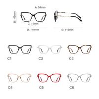 Plastic TR90 + metal frames for glasses with Blue Ray Cut protection and flex hinges FOCUS FCS2208