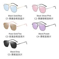 Photochromic glasses with blue light and UV protection 9655-GT