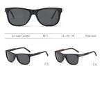 Солнцезащитные поляризационные пластиковые очки Enrique Cavaldi EC1011