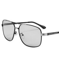 Photochromic glasses with blue light and UV protection 2873-GT