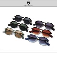 Plastic + metal retro sunglasses Elit 6068-EL