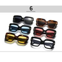 Plastic sunglasses retro style Elit LH182-EL