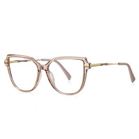 Plastic TR90 frames for glasses with Blue Ray Cut protection and flex hinges FOCUS FCS2210