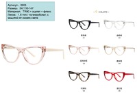 Plastic frames for glasses TR90+CA material (flex hinges) FOCUS FCS2003