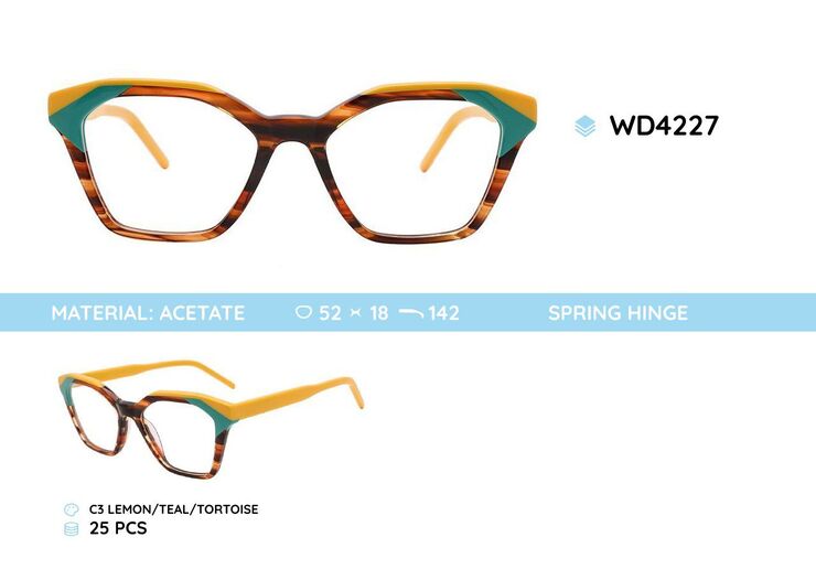 Plastic acetate eyeglasses frame WD4227