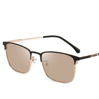 Photochromic glasses with blue light and UV protection 9678-GT