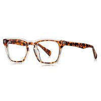 Plastic TR90 frame for glasses with UV protection and spring hinges More LS022