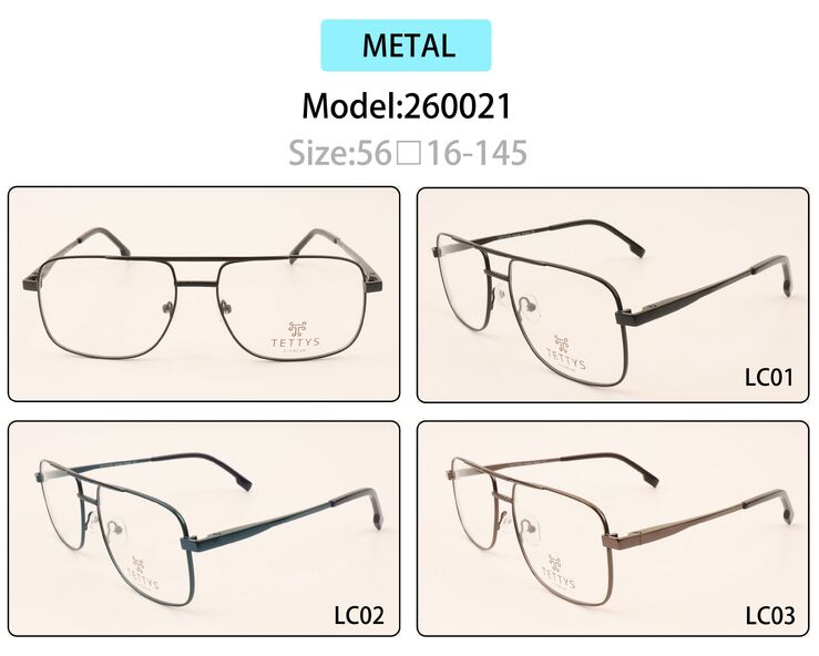 Metal eyeglasses frame for men with spring hinges 260021 (item in stock)