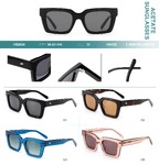 Polarized acetate plastic sunglasses Big City HS2824