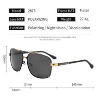 Photochromic glasses with blue light and UV protection 2873-GT