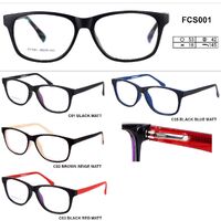 Plastic frames for glasses (flex hinges) FCS001