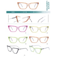 Оправа пластиковая из ламинированного многослойного ацетата с флексом Big City CL9012