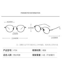 Metal pure titanium frame SANTA V704
