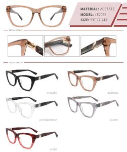 Plastic acetate frame with spring hinges LE2022-DA