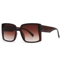 Plastic sunglasses for women Elit 9113-EL