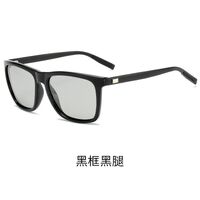 Очки фотохромные поляризационные A387