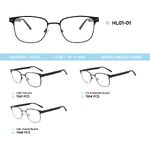 Metal frame with TR-90 temples with spring hinges HL01-01