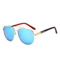 Polarized metal sunglasses with UV400 protection 2924-GT