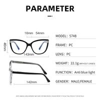 Plastic frame with anti-blue light protection lenses, with spring hinges Elit 5748-EL