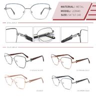 Оправа металлическая с флексом LE8840-DA