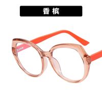 Plastic TR90 glasses with blue light protection for women TR5013-PN