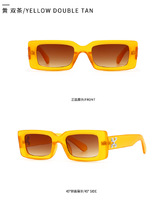 Sunglasses Elit modern with snowflake decoration 1109