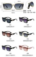 PC plastic sunglasses with metal hinge 6176W