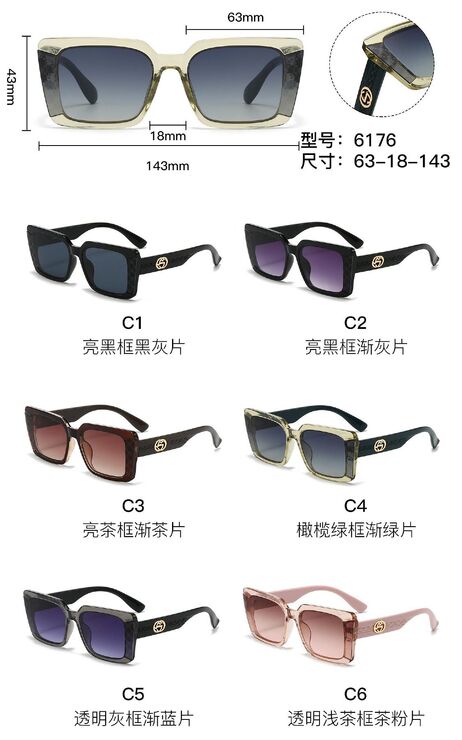 PC plastic sunglasses with metal hinge 6176W