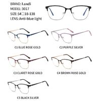 Protective anti-reflective coating metal glasses Landi LD3017