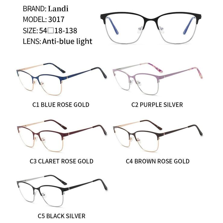 Protective anti-reflective coating metal glasses Landi LD3017
