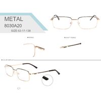 Оправа металлическая с флексом Big City 8030A20 - картинка 1