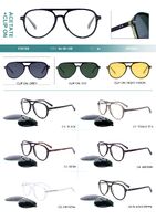 Plastic acetate frame with flex hinges + polarized clip-on Big City F3010S