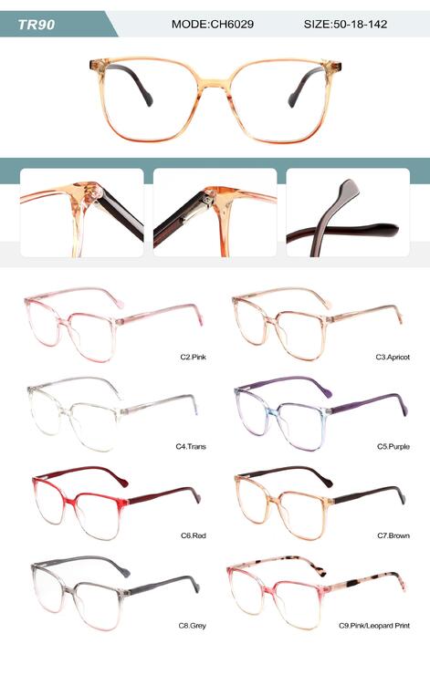 Оправа пластиковая из TR90 женская с флексом CH6029-2-DA