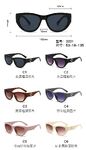 PC plastic sunglasses with plastic hinge 3221W