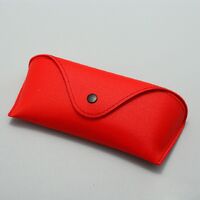 Sunglasses and eyeglasses hard shell case HD065