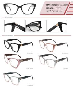 Plastic TR90 and acetate frame with spring hinges LE1083-DA