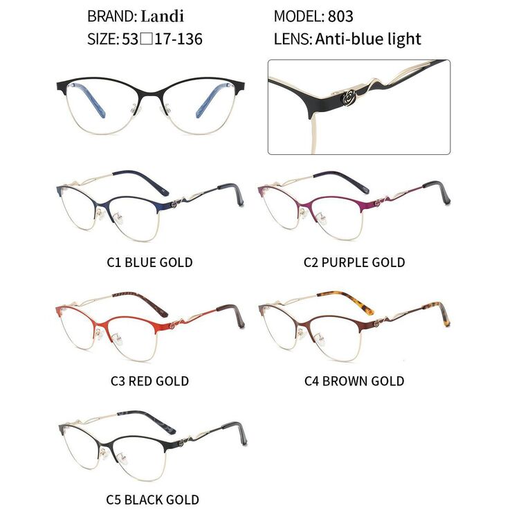 Protective anti-reflective coating metal glasses Landi LD803