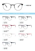 Металлическая оправа с дужками из пластика TR-90 HS02-06