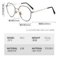 Photochromic glasses with blue light and UV protection 9621-GT