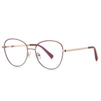 Metal Blue Blocker frames for glasses MORE 3091