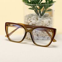 Plastic frame with anti-blue light protection lenses, with spring hinges Elit 5704-EL