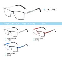 Titanium frames TM17205