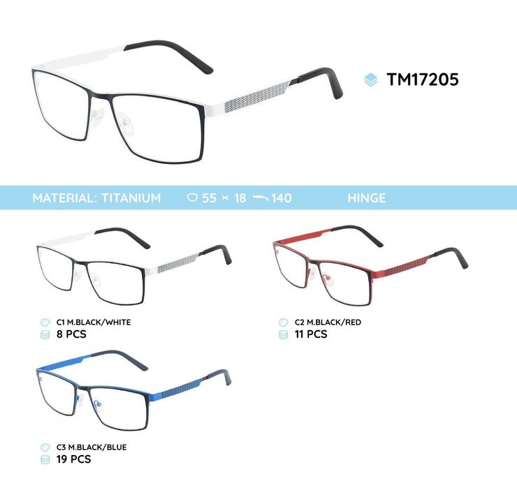 Titanium frames TM17205