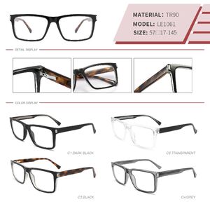 Plastic TR90 frame with spring hinges LE1061-DA