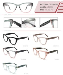 Plastic TR90 and acetate frame with spring hinges LE1089-DA